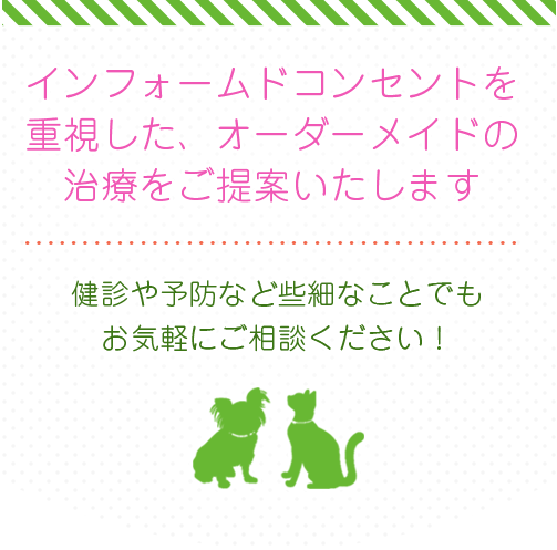 セン動物病院 横浜市緑区にあるインフォームドコンセントを重視した動物病院